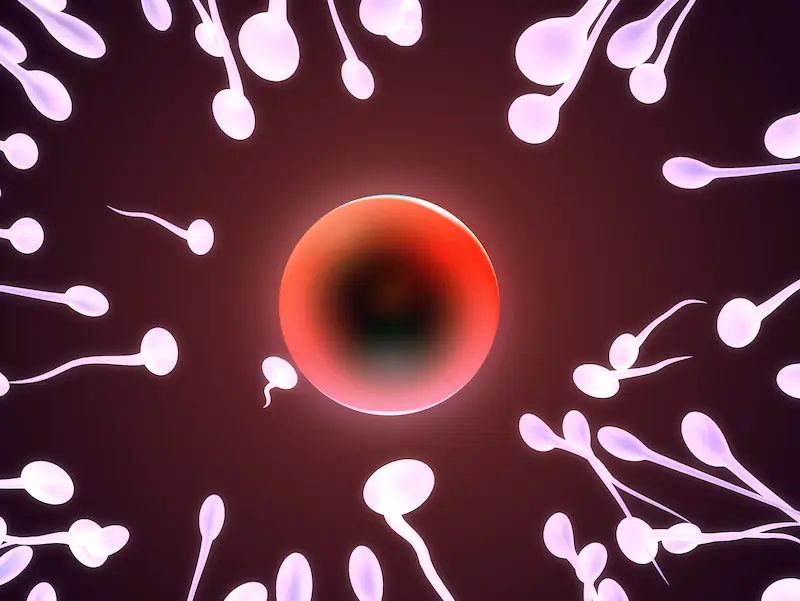 Blood in Semen Causes, Treatment, and Diagnosis